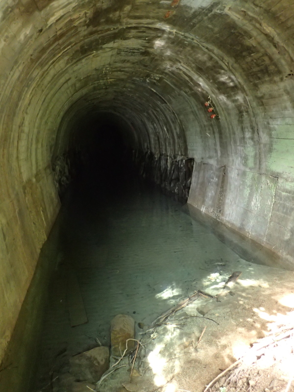 清涼な水を湛える清崎第三隧道 旧豊橋鉄道田口線 長原前〜清崎 2015年5月