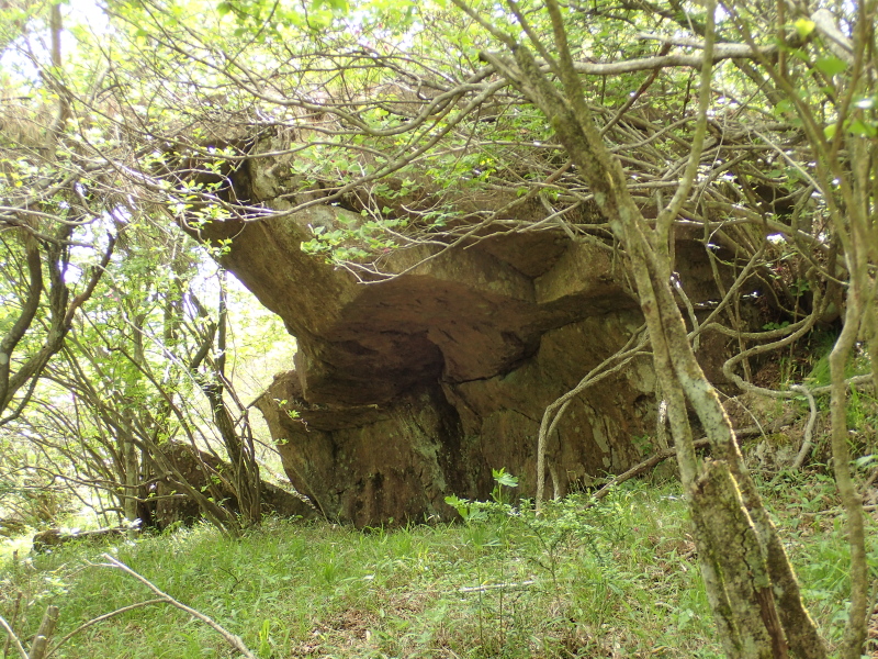 御坂山地 鍵掛付近の岩小屋 2016年5月