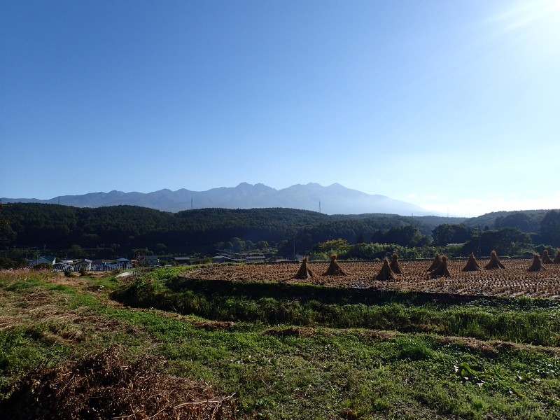 八ヶ岳に張り合う三角帽子たち 富士見 2015年10月
