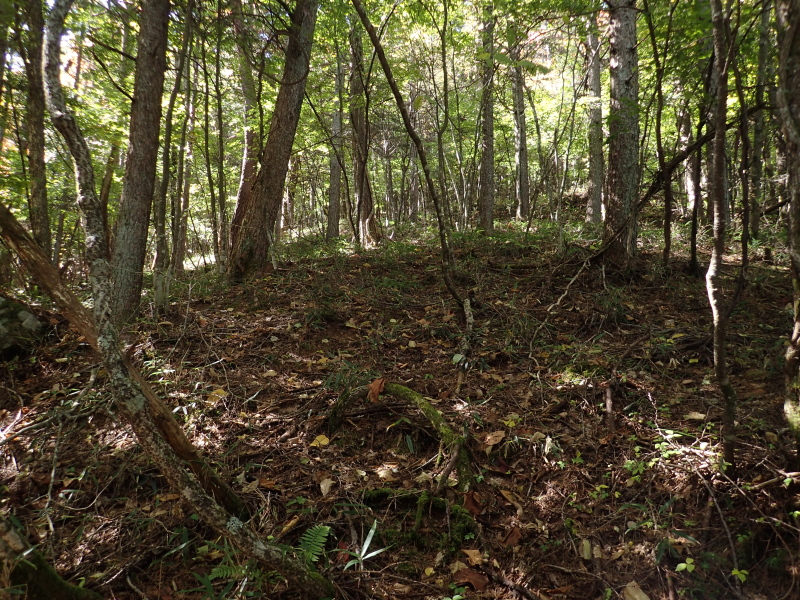 視界上方に棚状の地形を見つけ色めき立つ 思沢川ルート 2015年10月