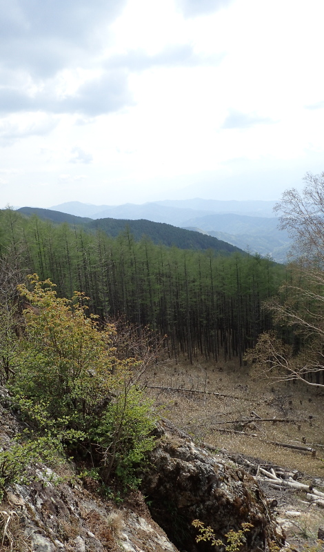 高座岩より高遠山室の谷を望む 2016年5月