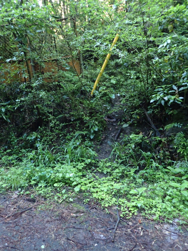 誰が何と言おうとボクには登山口 小峰隧道南坑口付近 2016年5月
