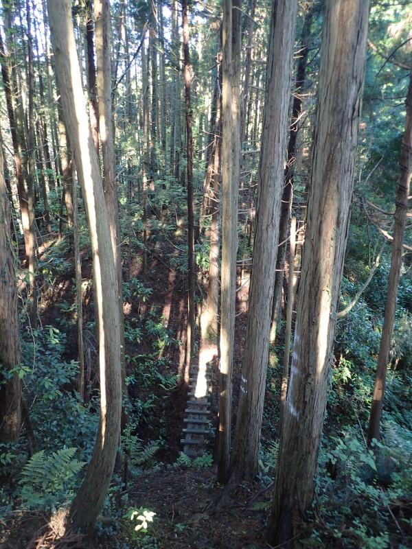 木橋 小峰峠〜小峰公園遊歩道分岐間 2016年5月