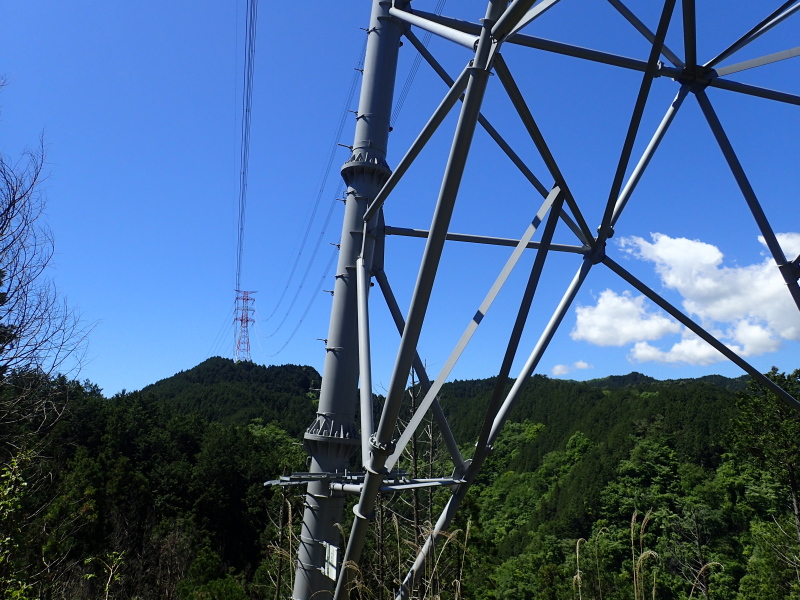 送電線は山行のいい目印になる 新多摩線No.83 入山峠 2016年5月