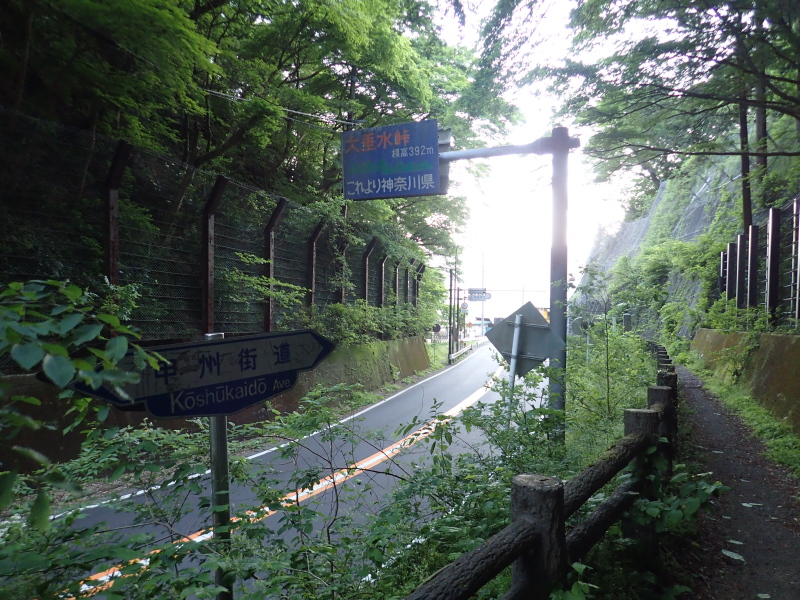 大垂水峠 2016年5月
